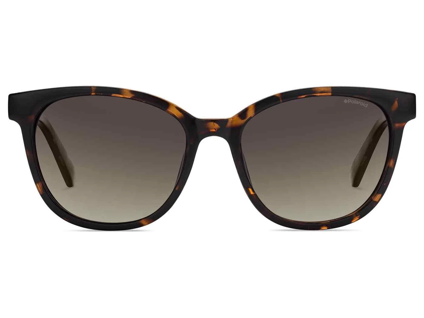 Polaroid Core Pld5015 Sunglasses - view 4